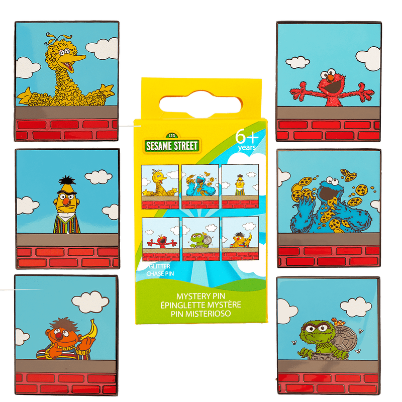 Sesame Street Neighborhood Friends Mystery Box Pin